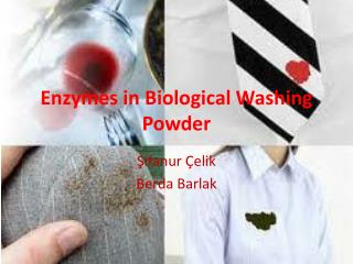 Enzymes in Biological Washing Powder