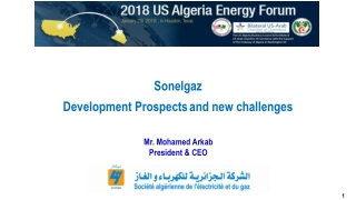 Sonelgaz Development Prospects and new challenges