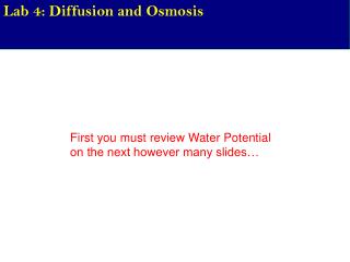 First you must review Water Potential on the next however many slides…