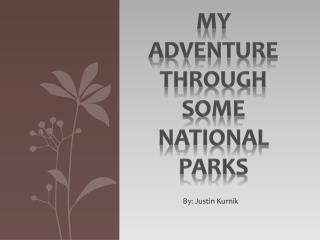 My Adventure Through Some National Parks