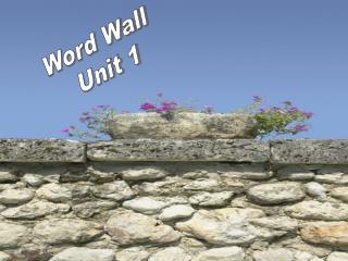 Word Wall Unit 1