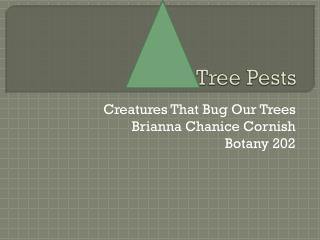 Tree Pests