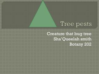 Tree pests