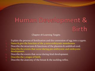 Human Development & Birth