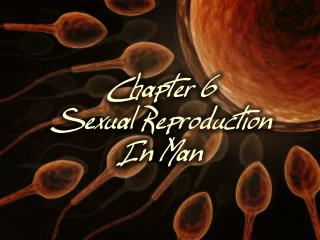 Chapter 6 Sexual Reproduction In Man