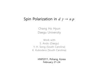 Spin Polarization in d g → n p