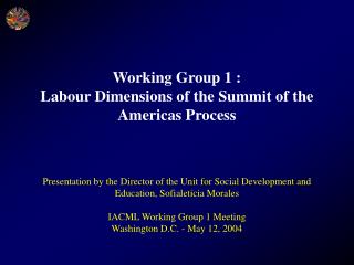 Working Group 1 : Labour Dimensions of the Summit of the Americas Process