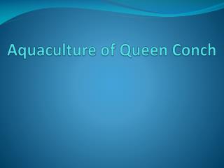 Aquaculture of Queen Conch