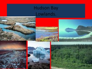 Hudson Bay Lowlands.