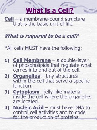 PPT - What is a Cell? PowerPoint Presentation, free download - ID:1923130