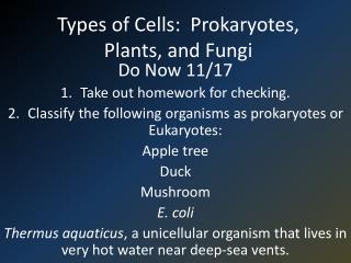 Types of Cells: Prokaryotes, Plants, and Fungi