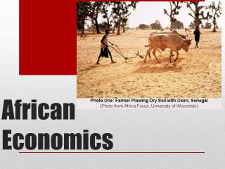 African Economics