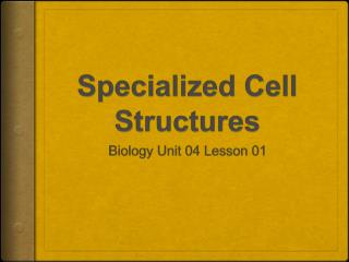 Specialized Cell Structures