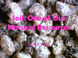 Soil: One of Our Natural Resources