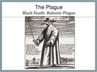 PPT - The Plague Black Death- Bubonic Plague PowerPoint Presentation ...