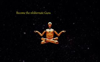 Become the nhibernate Guru