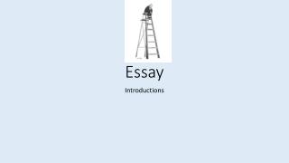Essay