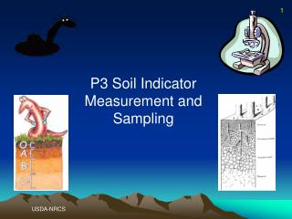 P3 Soil Indicator Measurement and Sampling
