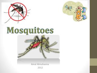 mosquito powerpoint template free