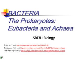 BACTERIA The Prokaryotes: Eubacteria and Achaea
