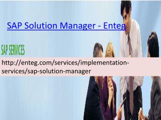 Enteg SAP Solution Manager
