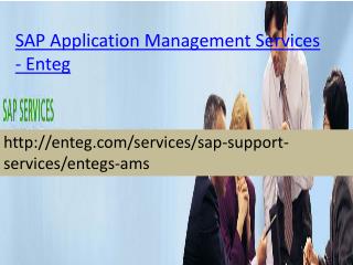 Enteg SAP Application Management Services