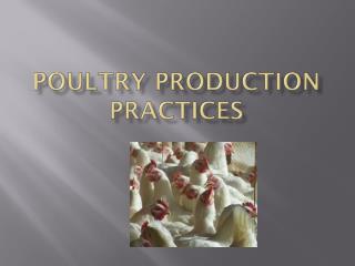 Poultry Production Practices