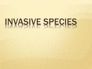 INVASIVE SPECIES