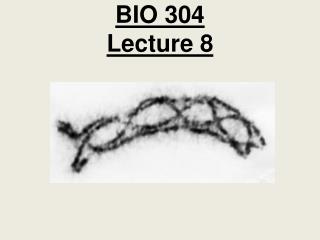 BIO 304 Lecture 8