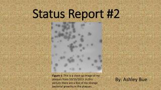 Status Report #2