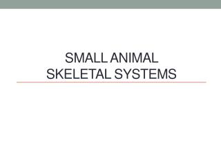 Small Animal Skeletal Systems