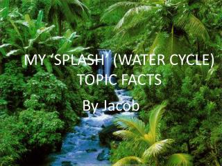 MY ‘SPLASH’ (WATER CYCLE) TOPIC FACTS