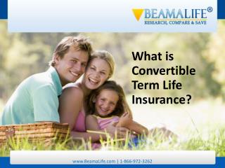 What is Convertible Term Life Insurance