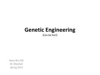 Genetic Engineering (Can be fun!)