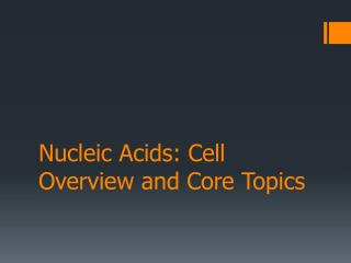 Nucleic Acids: Cell Overview and Core Topics