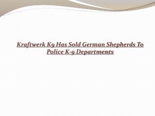 Kraftwerk K9 Has Sold German Shepherds To Police K-9 Departm