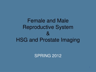 Female and Male Reproductive System & HSG and Prostate Imaging