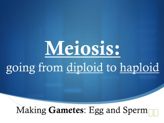 Meiosis: going from diploid to haploid