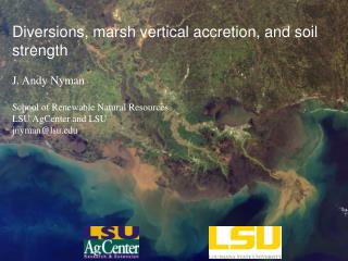 Diversions, marsh vertical accretion, and soil strength J . Andy Nyman
