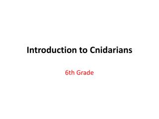 Introduction to Cnidarians