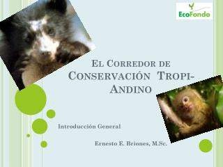 El Corredor de Conservación Tropi -Andino