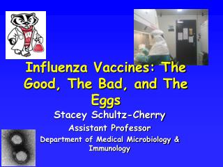 Influenza Vaccines: The Good, The Bad, and The Eggs