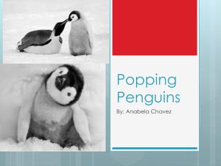 Popping Penguins