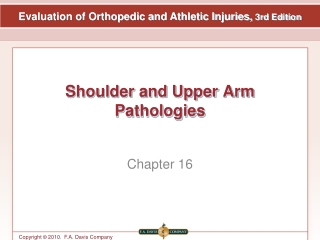Shoulder and Upper Arm Pathologies