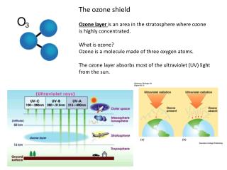 The ozone shield Ozone layer is an area in the stratosphere where ozone is highly concentrated.