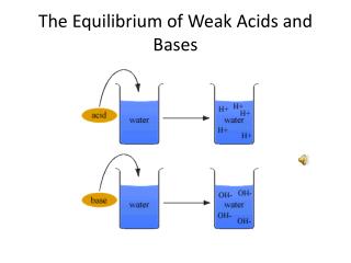 The Equilibrium of Weak Acids and Bases