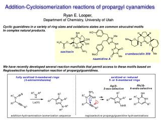 Addition- Cycloisomerization reactions of propargyl cyanamides