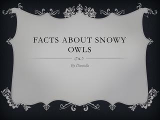 Facts About Snowy Owls