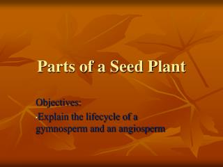 Parts of a Seed Plant