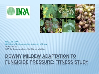 Downy mildew adaptation to fungicide pressure: fitness study